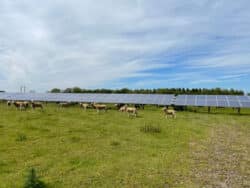 Organised Crime and Renewable Energy: What Recent Rural Theft Trends Mean for Solar Farm Security