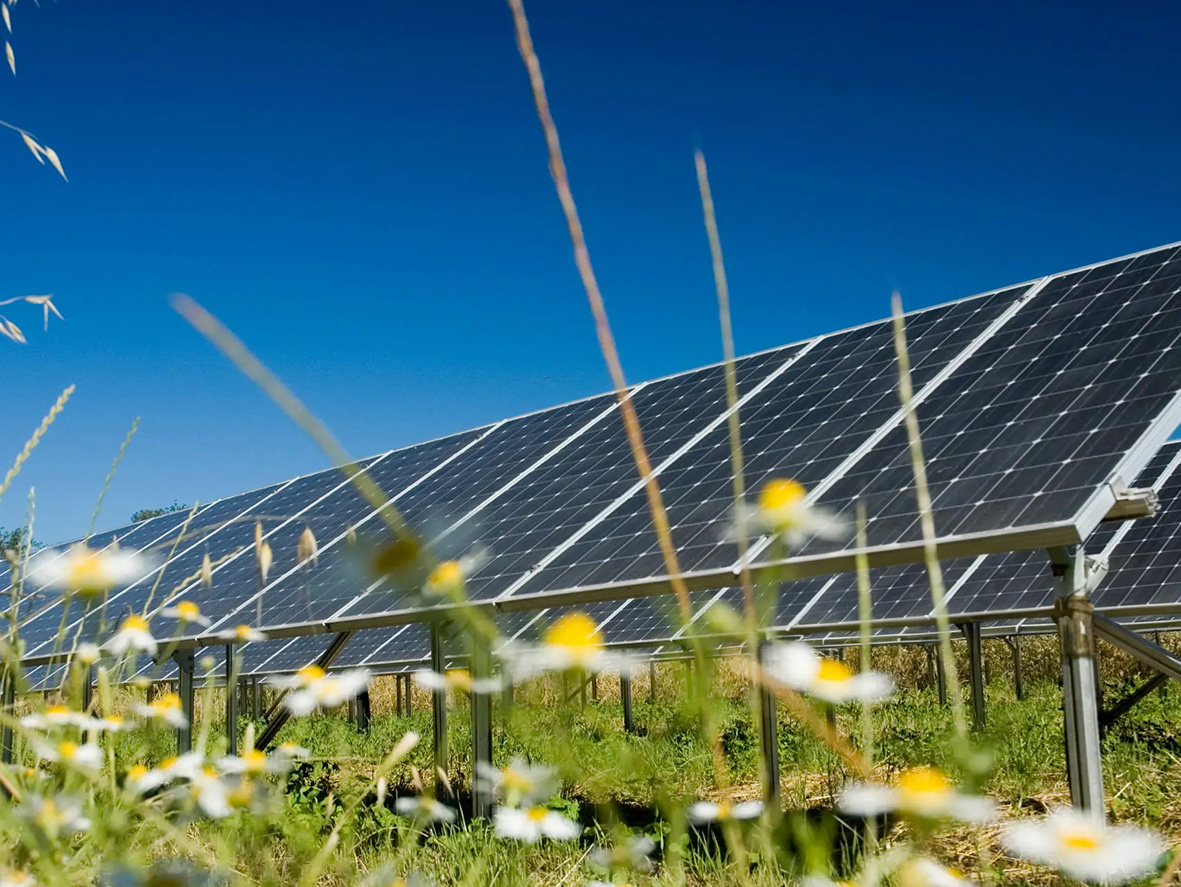 How to Start a Solar Farm: Land, Planning & Investment Guide ...